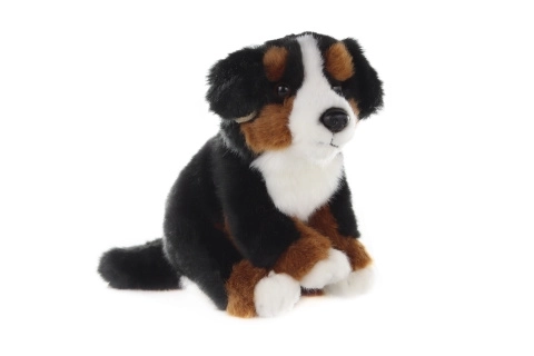 Plüsch Berner Sennenhund 16 cm