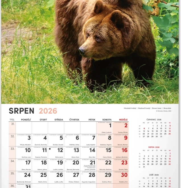 Jagd-Wandkalender 2026