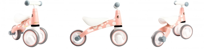 Lauflernrad Flamingo Motiv von ECOTOYS