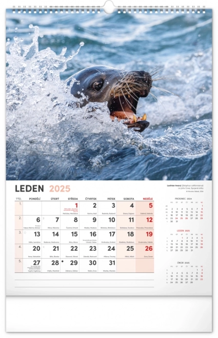 Wandkalender Faszinierende Tiere 2025