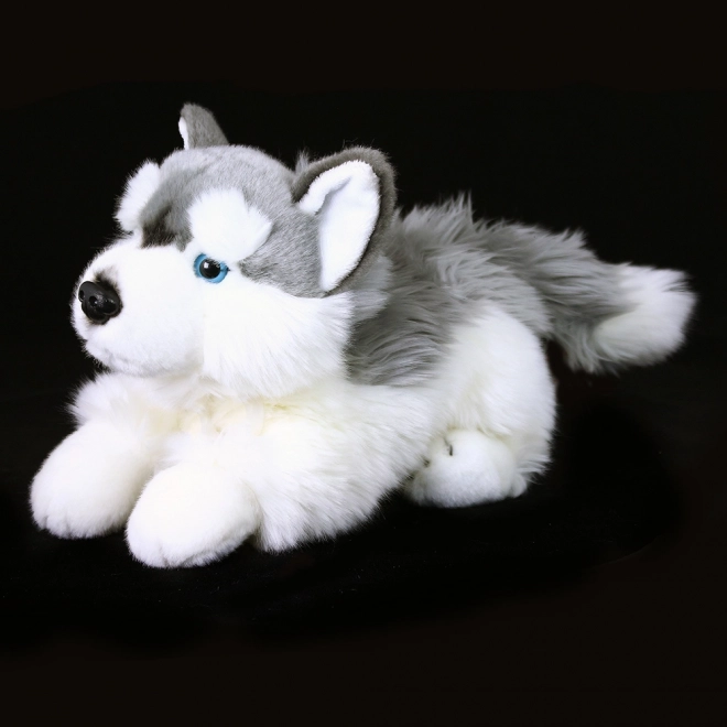 Plüsch Husky Hund 30 cm umweltfreundlich