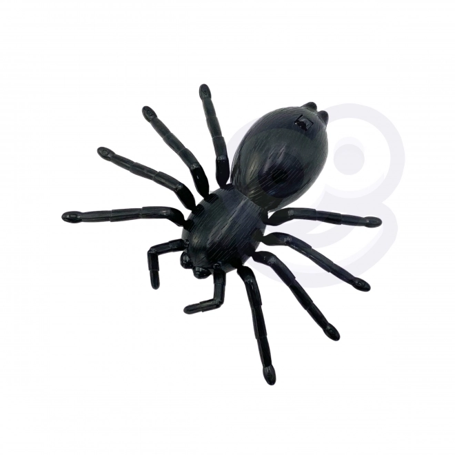 Interaktive ferngesteuerte Spinne