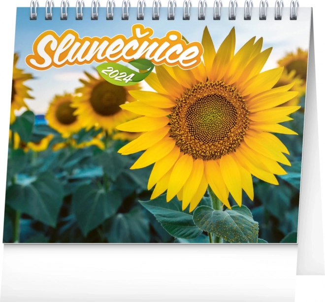 Tischkalender Sonnenblume mit Zitaten 2024