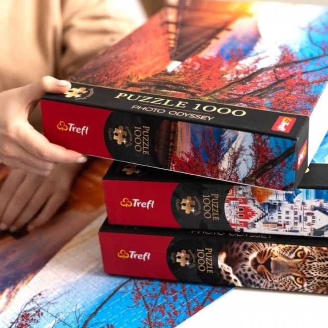 Trefl Puzzle Premium Plus Foto Odyssee: Burg Hohenzollern, Deutschland 1000 Teile