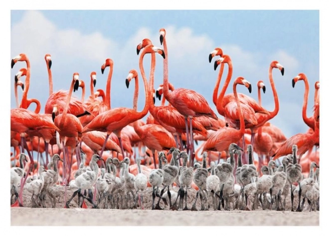 Puzzle Flamingos 500 Teile