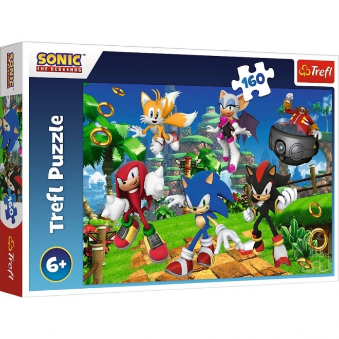 Puzzle 160 Teile Sonic und Freunde