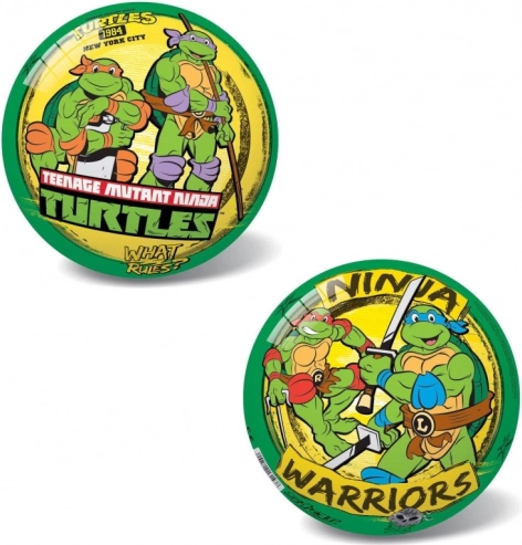 Retro-Ball Schildkröten