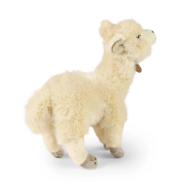 Stehende Plüsch-Lama Alpaka 23 cm von Rappa