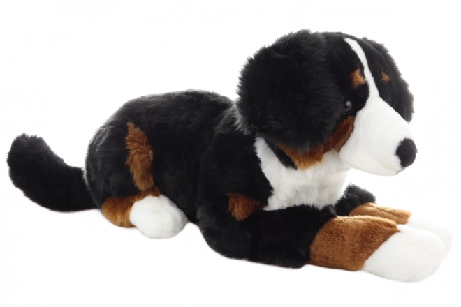 Plüsch Berner Sennenhund 65 cm