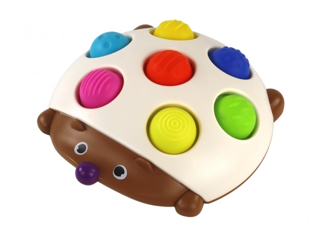 Igel sensorisches Spaß-Montessori-Brett