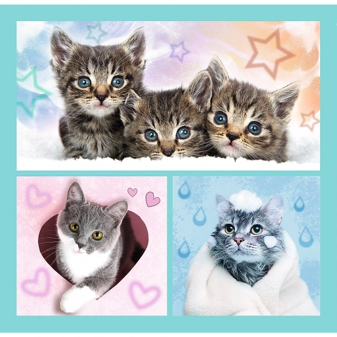 Süße Tierchen Katzen Puzzle 3-in-1