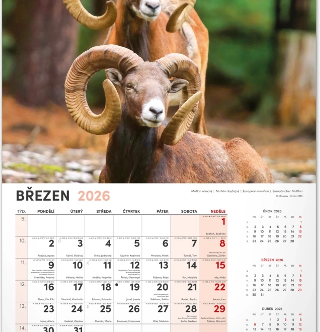 Jagd-Wandkalender 2026