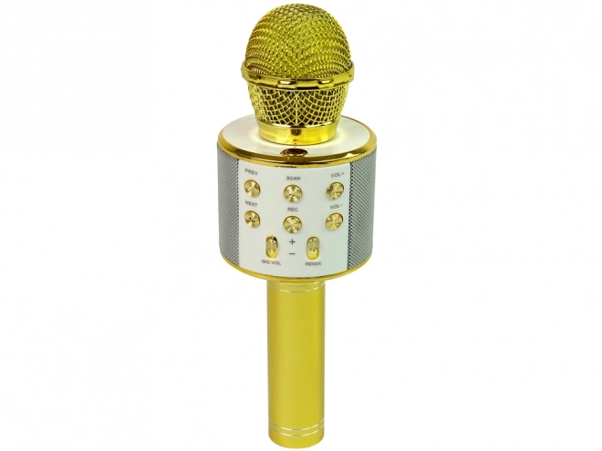 Karaoke Mikrofon Bluetooth USB Lautsprecher Goldener Mikrofon