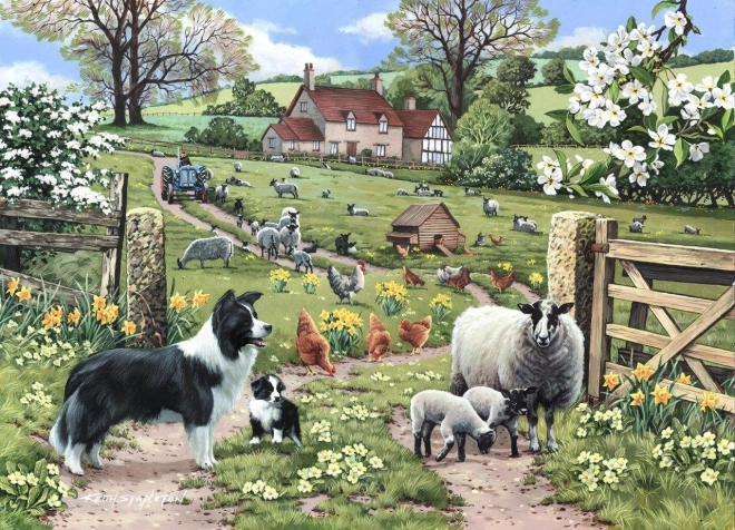 Puzzle Frühes Lernen 1000 Teile