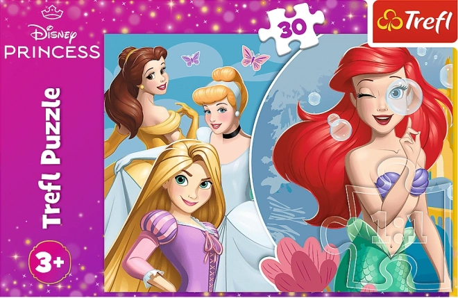 Puzzle - Schöner Tag mit Disney Prinzessinnen