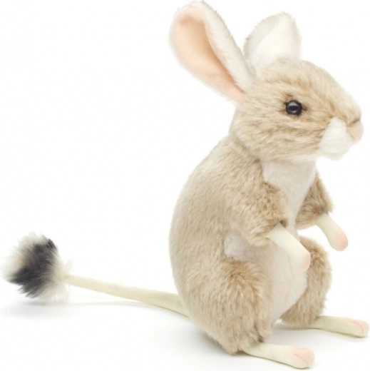 Realistische Details des Tarbik