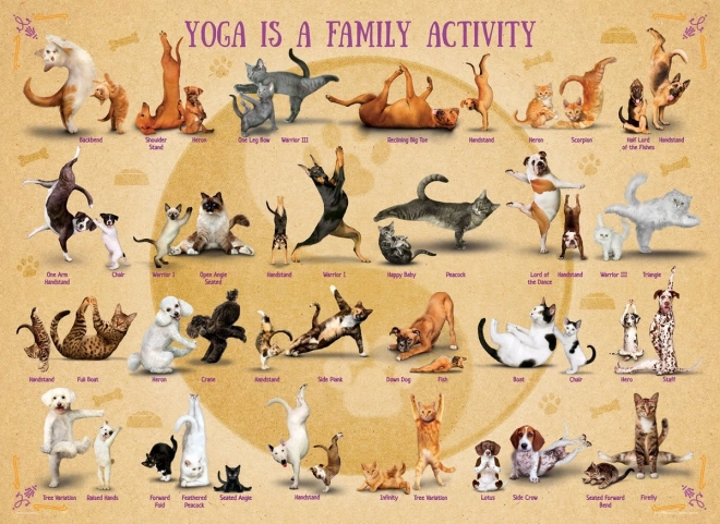 Puzzle Yoga XL 500 Teile
