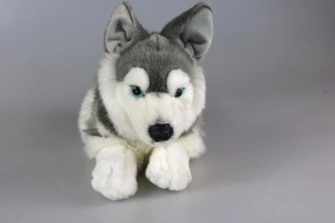 Plüsch Husky 34 cm