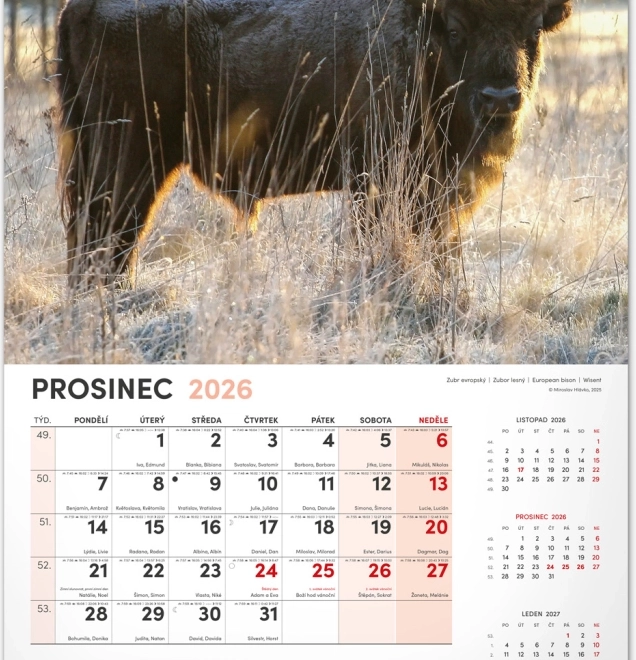 Jagd-Wandkalender 2026
