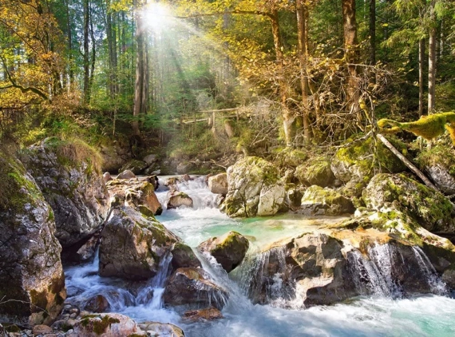 Wald Fluss Puzzle 2000 Teile