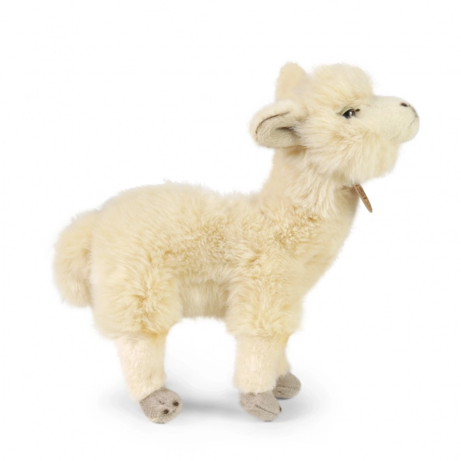 Stehende Plüsch-Lama Alpaka 23 cm von Rappa
