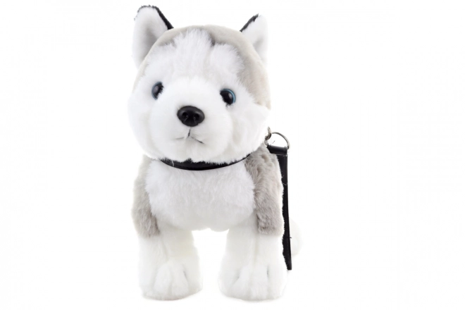 Plüsch Husky mit Leine 25 cm Umweltfreundlich