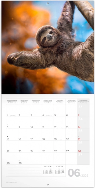 Notizkalender Lächeln für das Jahr 2026