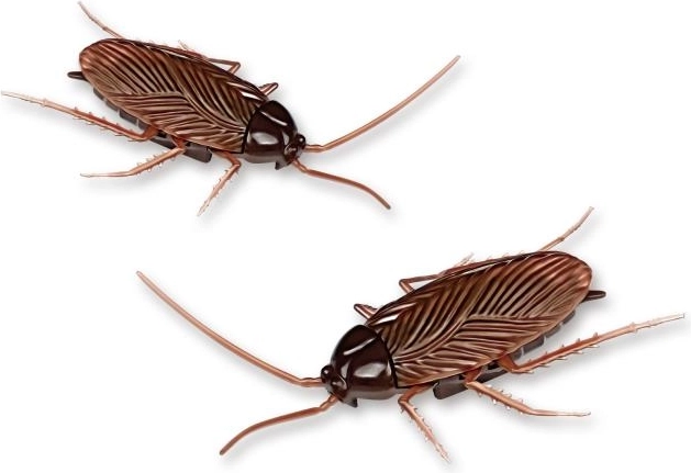 Perfekt für Pranks und Bildung