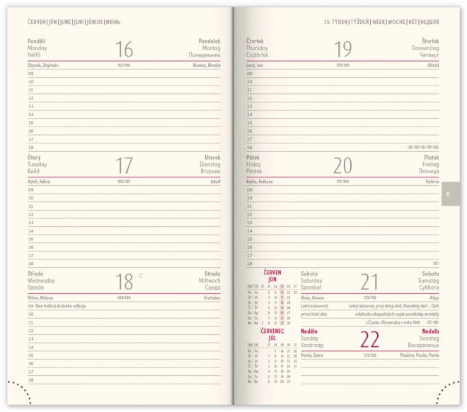 Notique Taschendikalender Vellum 2025 in Orange