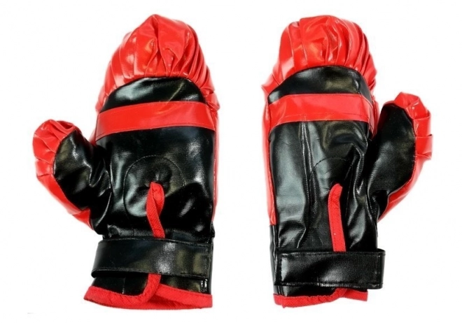 Boxset Handschuhe und Schild Kampfsport