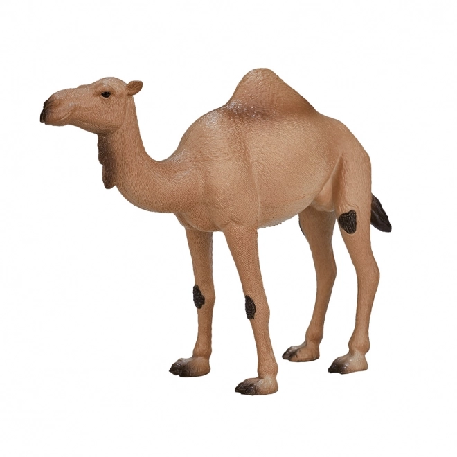 Mojo Dromedar Figur