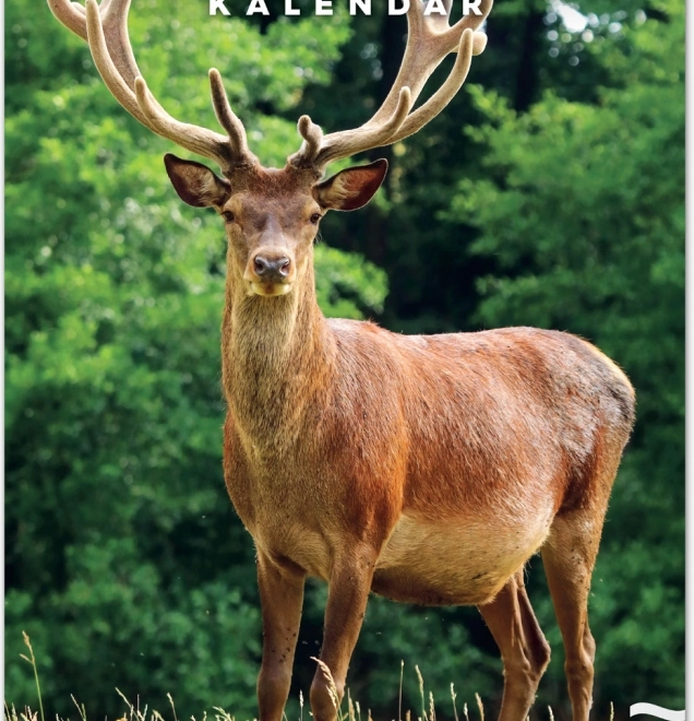 Jagd-Wandkalender 2026