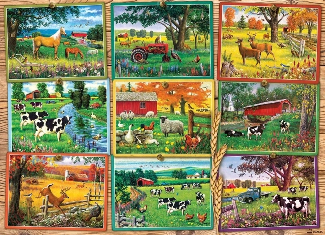 COBBLE HILL Puzzle Ansichten vom Bauernhof – 1000 Teile