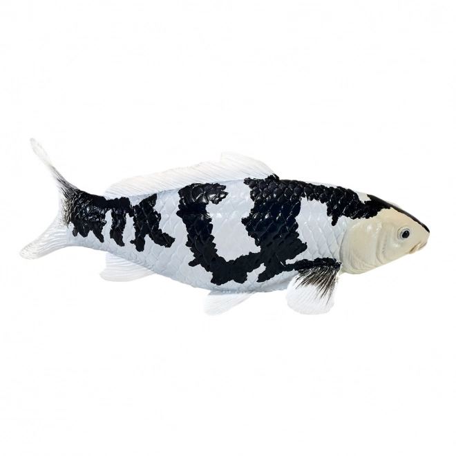 Mojo Karpfen Koi Shiro Utsuri