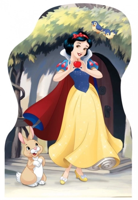 Konturpuzzle mit Disney Prinzessinnen 4x54 Teile