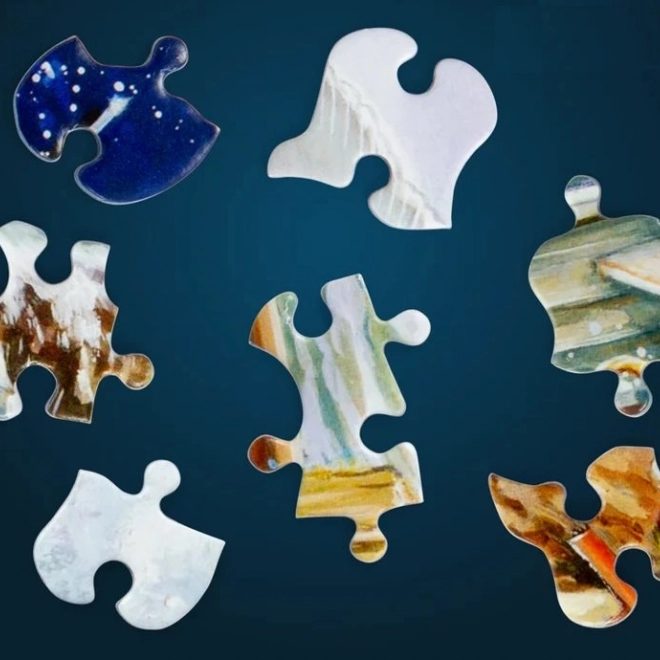 Puzzle Stiere im Porzellanladen 1000 Teile