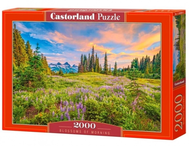 Castorland Puzzle Morgenblumen 2000 Teile