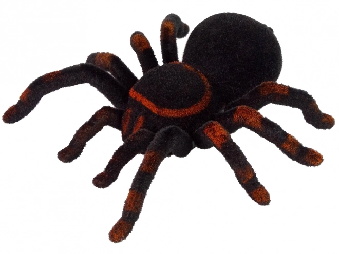 Ferngesteuerte schwarze Tarantel Spinne