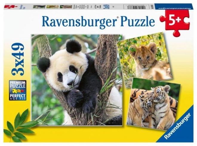 Panda, Tiger und Löwe Puzzle 3x49 Teile