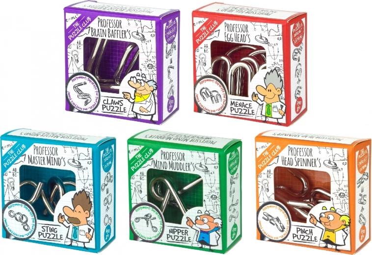 Professor Puzzle Metall-Puzzle
