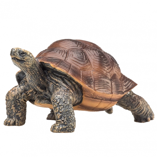 Ideal zum Spielen und Sammeln