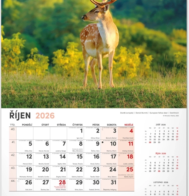 Jagd-Wandkalender 2026