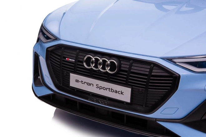 Audi E-Tron Autobatterie Blau QLS-6688