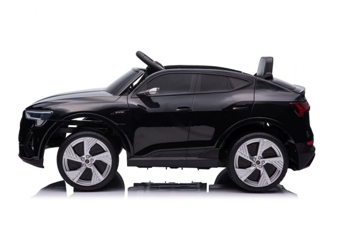 Audi E-Tron Autobatterie Schwarz QLS-6688