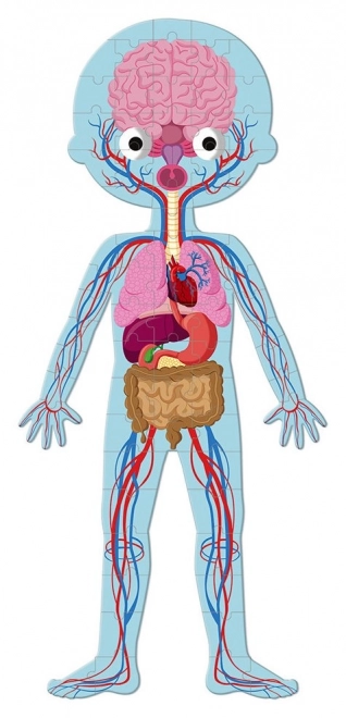 Janod Puzzle Menschlicher Körper 3-in-1