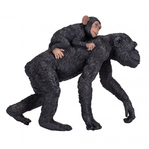 Ideal zum Spielen und Lernen