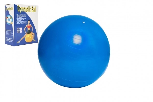 Rehabilitation Gymnastikball 65cm