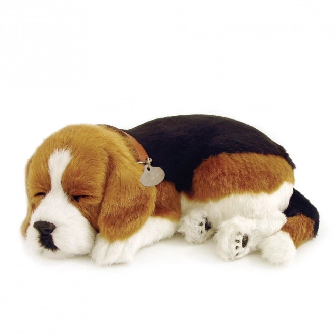 Atmender Welpen Beagle von Perfect Petzzz