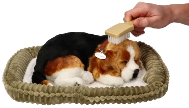 Atmender Welpen Beagle von Perfect Petzzz