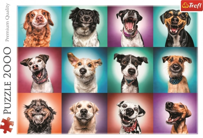 Lustige Hundefotografien Puzzle
